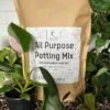 Elm Dirt All-Purpose Potting Mix -Alpha Garden Shop IMG 5165 1