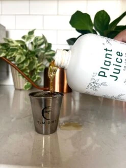 Elm Dirt Plant Juice 6 Elm Dirt Plant Juice -Alpha Garden Shop IMG 6513