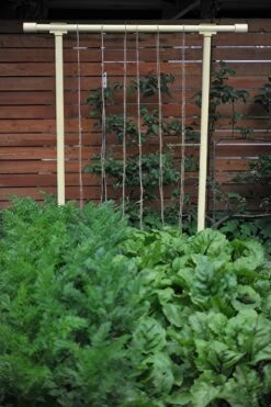 Freyr Trellis By Seattle Urban Farm Company -Alpha Garden Shop dandelion yellow gigapixel standard scale 6 00x cf02eff6 2c92 4e0d 8396 31d0d9480f7f