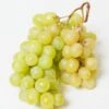 Himrod Seedless Grape 2 Himrod Seedless Grape -Alpha Garden Shop himrod grape