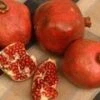 Red Silk Pomegranate -Alpha Garden Shop httpraintreenursery.netpd491 01