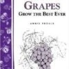 Great Grapes -Alpha Garden Shop httpraintreenursery.netps180