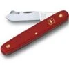 Victorinox Grafting Knife 1 Victorinox Grafting Knife -Alpha Garden Shop httpraintreenursery.netpt750
