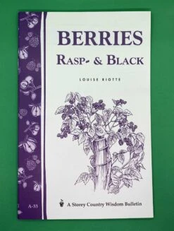 Berries/ Rasp & Black