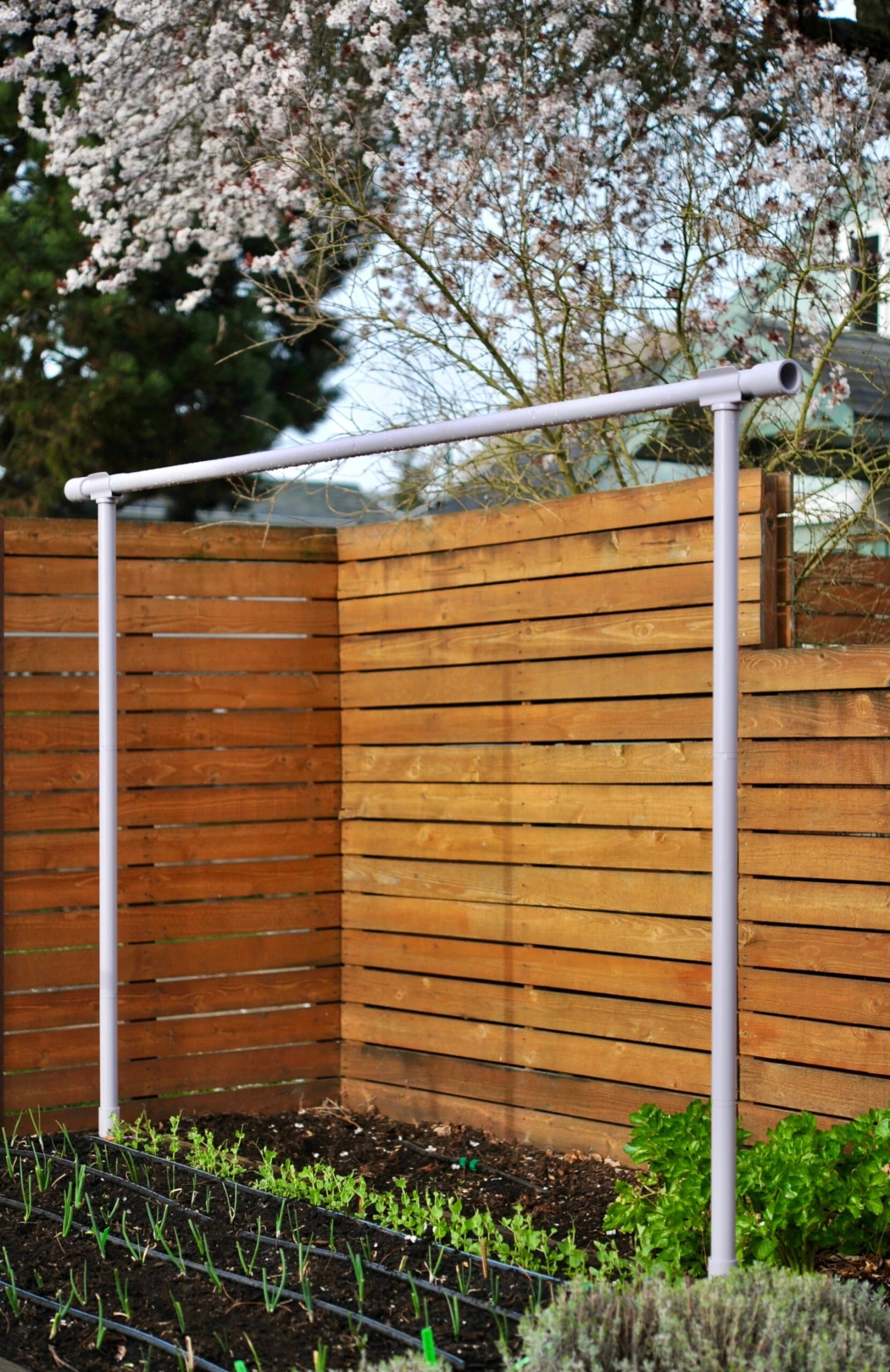 Freyr Trellis By Seattle Urban Farm Company 5 Freyr Trellis By Seattle Urban Farm Company - Image 3