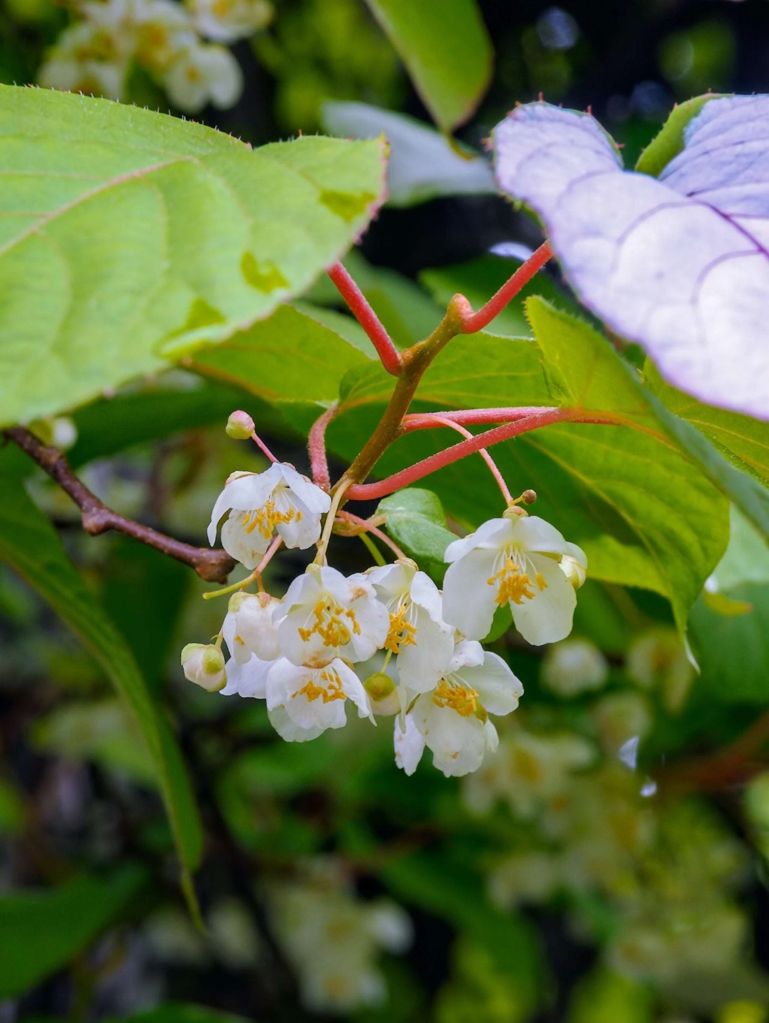 Alpha Garden Shop 17 Alpha Garden Shop -Alpha Garden Shop shutterstock 1133568533 1 scaled