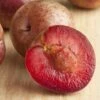 Combo Zee Sweet Pluot Tree (4 Varieties) -Alpha Garden Shop zee sweet pluot 1 1